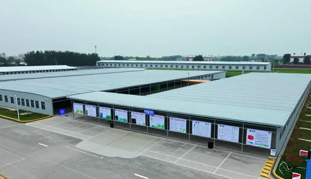 做网站的公司:如何通过品牌建设提升信息发布效率